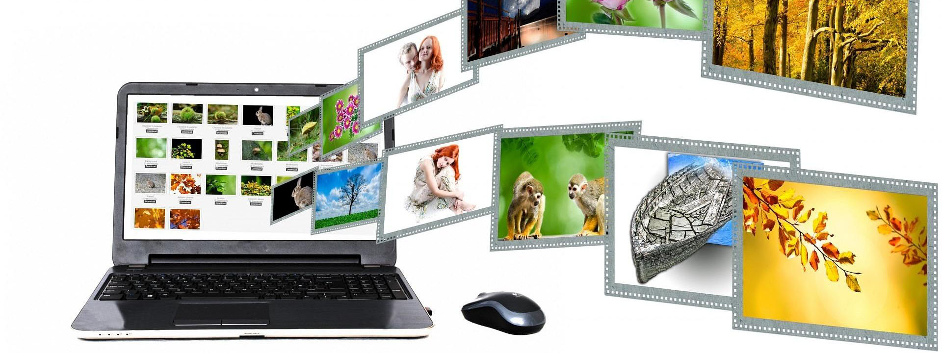 © pixabay CCO - PublicDomainPictures